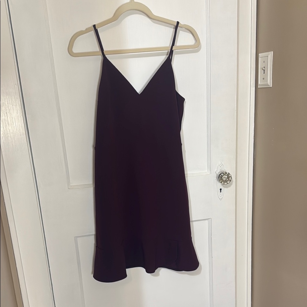 Express Burgundy Spaghetti Strap Slip Mini Dress - Picture 11 of 13